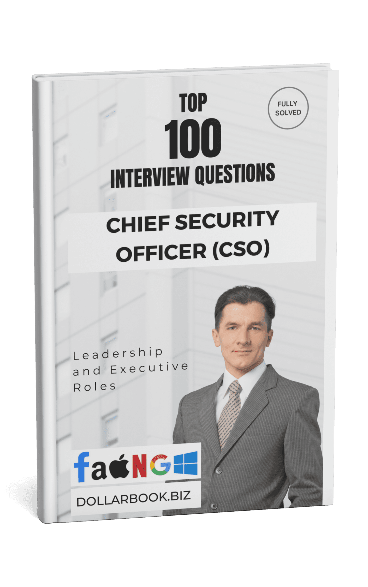 Chief Security Officer (CSO)